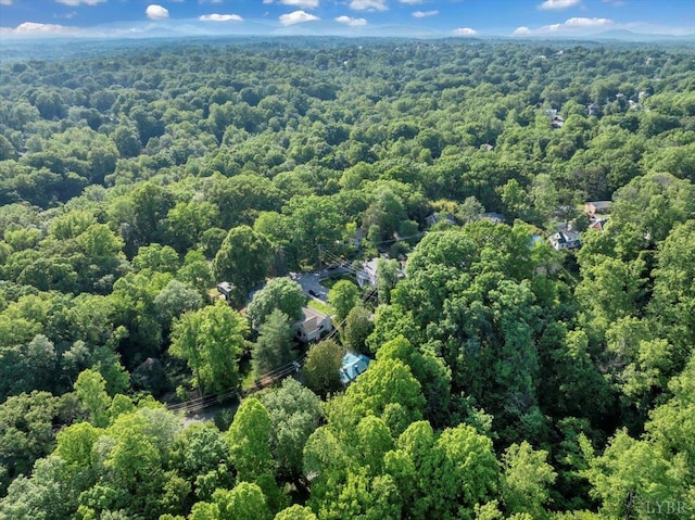 400 E Randolph Pl, Lynchburg, VA 24503 - drone / aerial view of a forest