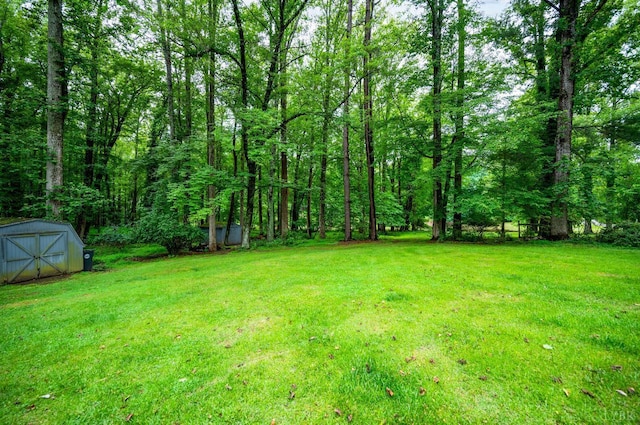 921 Peaksview St, Bedford, VA 24523 - view of green lawn with a view of trees