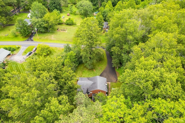 921 Peaksview St, Bedford, VA 24523 - aerial view