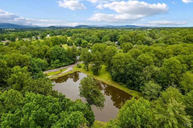 921 Peaksview St, Bedford, VA 24523 - aerial view of a water and mountain view and a forest