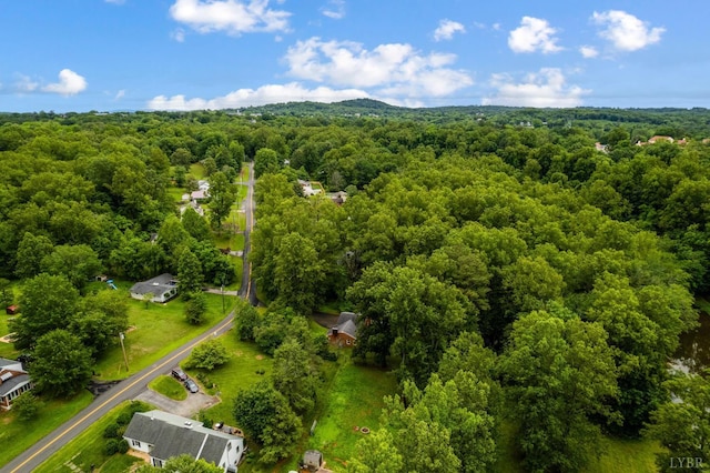 921 Peaksview St, Bedford, VA 24523 - aerial view of a forest