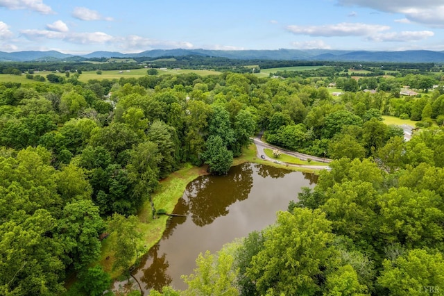 921 Peaksview St, Bedford, VA 24523 - drone / aerial view of a water and mountain view