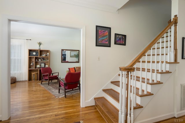 302 Molly Stark Trl, Lynchburg, VA 24503 - photo 6