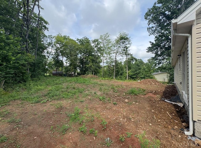 0 Dixie Airport Rd, Madison Heights, VA 24572 - photo 12