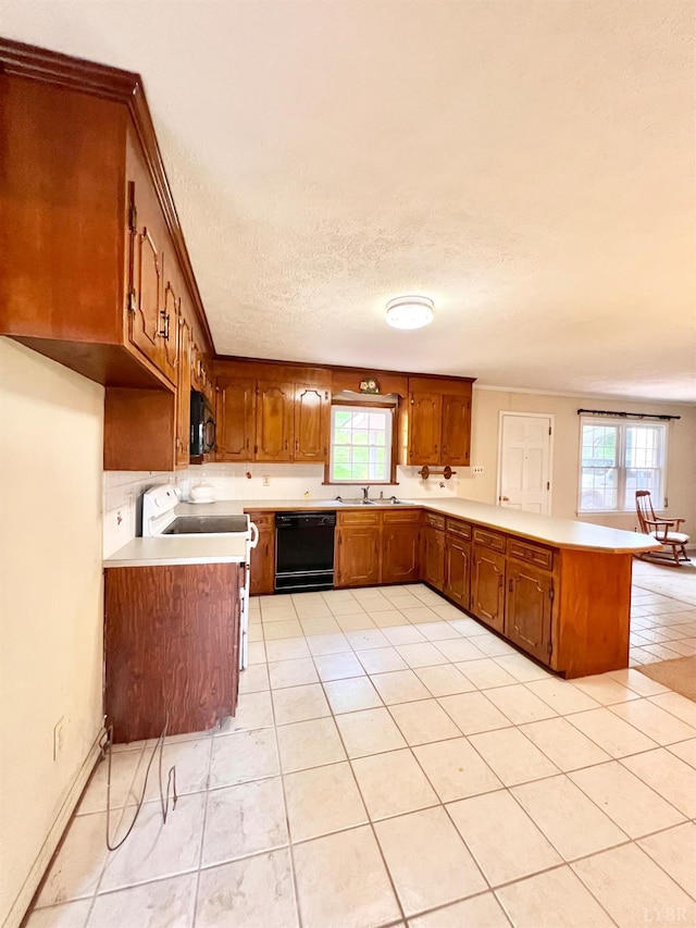 166 Matohe Rd, Monroe, VA 24574 - kitchen with black appliances, a peninsula, plenty of natural light, light countertops, and a textured ceiling