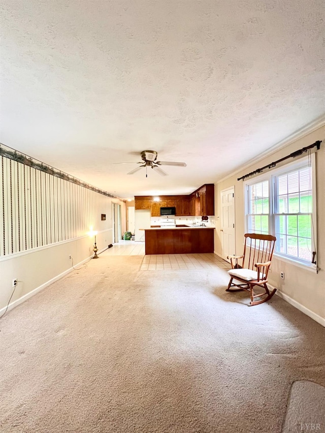 166 Matohe Rd, Monroe, VA 24574 - unfurnished living room with ceiling fan, a textured ceiling, and light carpet