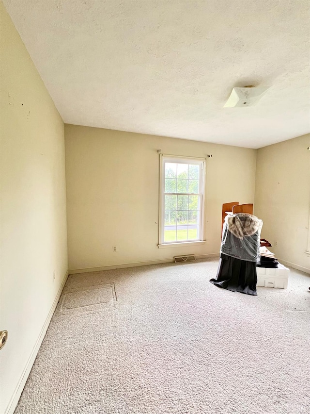 166 Matohe Rd, Monroe, VA 24574 - unfurnished bedroom featuring carpet flooring and a textured ceiling