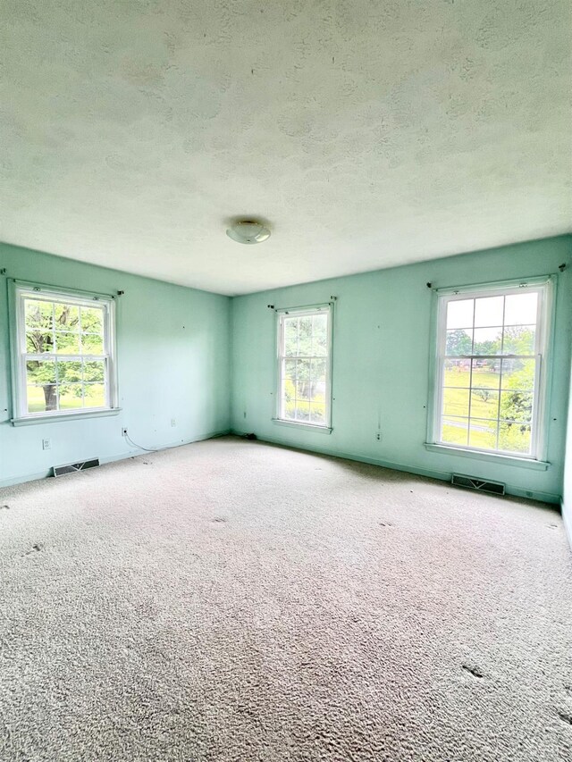 166 Matohe Rd, Monroe, VA 24574 - carpeted spare room with a textured ceiling