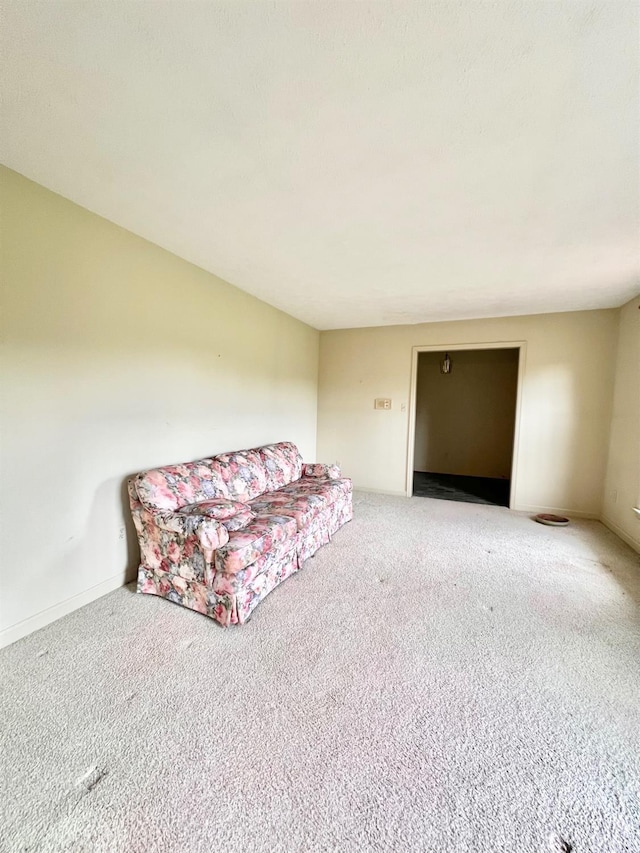 166 Matohe Rd, Monroe, VA 24574 - living area with carpet floors