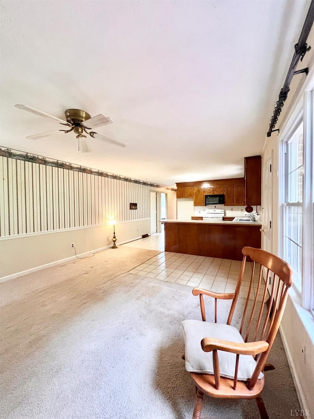 166 Matohe Rd, Monroe, VA 24574 - living area featuring baseboards and light carpet