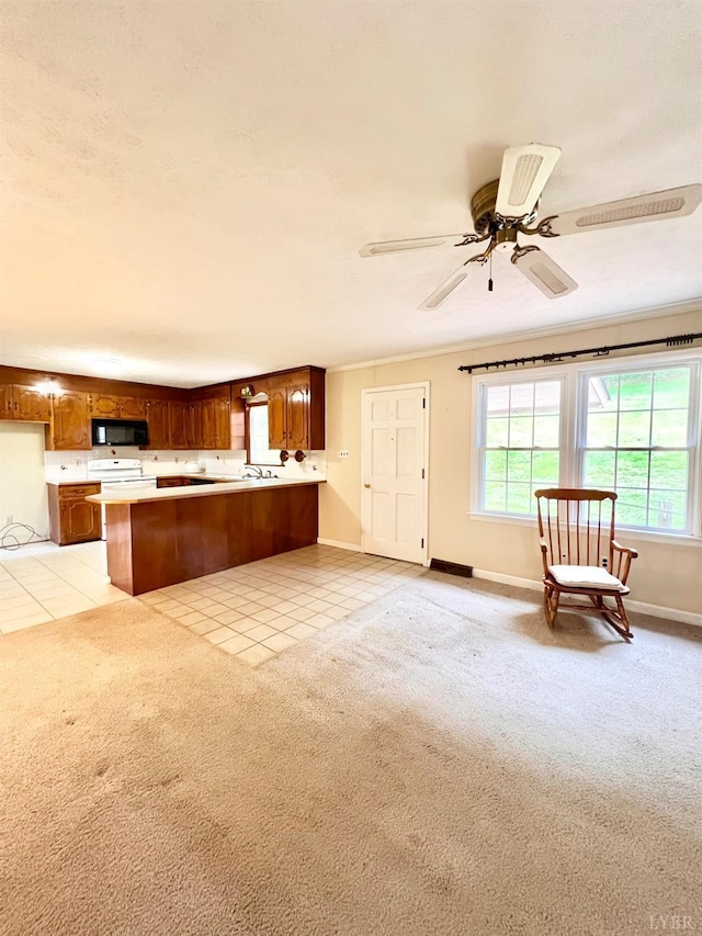 166 Matohe Rd, Monroe, VA 24574 - kitchen with black microwave, light countertops, a peninsula, and light colored carpet