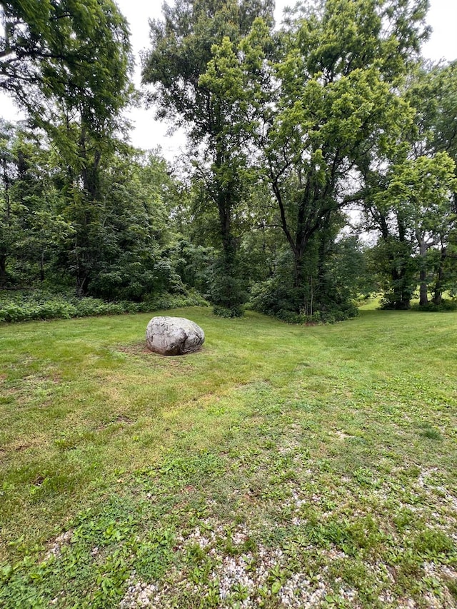 166 Matohe Rd, Monroe, VA 24574 - view of grassy yard