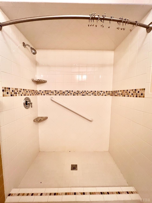 166 Matohe Rd, Monroe, VA 24574 - bathroom with tiled shower