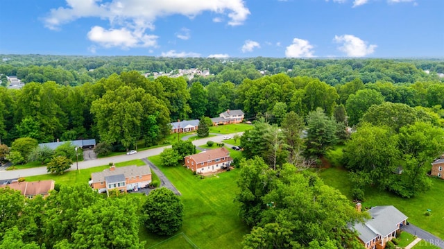 6012 Rhonda Rd, Lynchburg, VA 24502 - bird's eye view of a forest