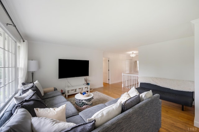 6012 Rhonda Rd, Lynchburg, VA 24502 - living area featuring wood finished floors, baseboards, and ornamental molding