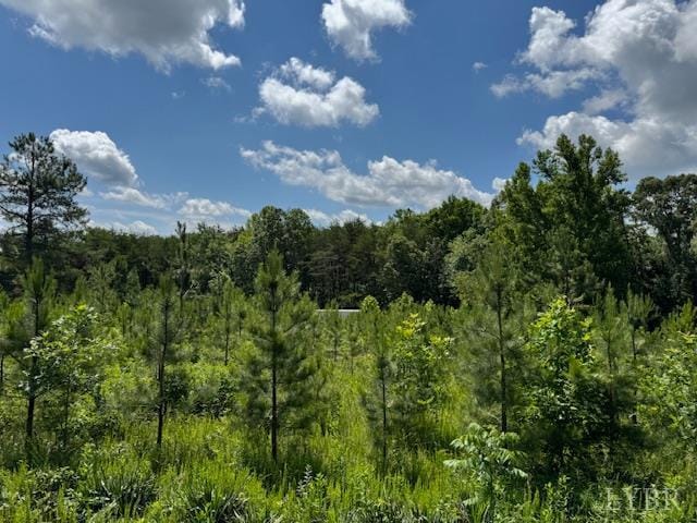 0 Mini Ball Ln, Appomattox, VA 24522 - photo 2