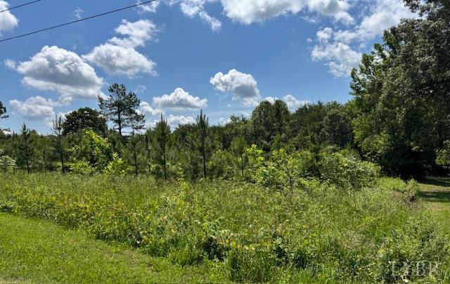0 Mini Ball Ln, Appomattox, VA 24522 - photo 6