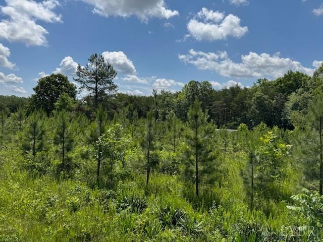 0 Mini Ball Ln, Appomattox, VA 24522 - photo 5