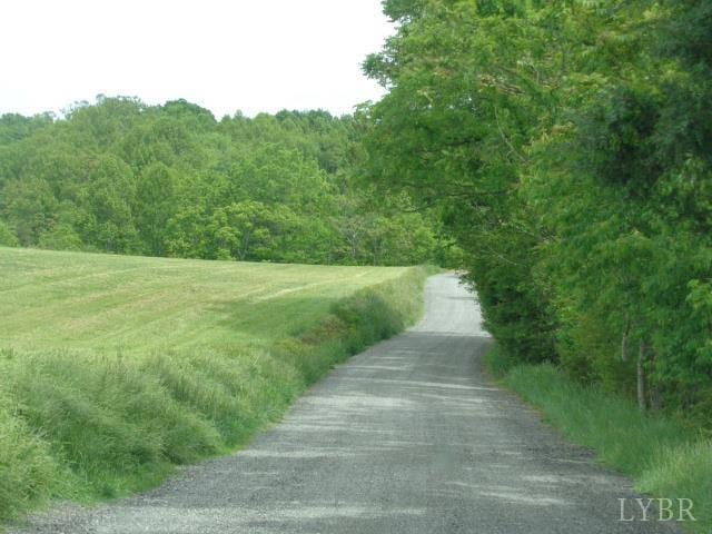 1170 Parrish Rd, Goodview, VA 24095 - surrounding community featuring a forest view