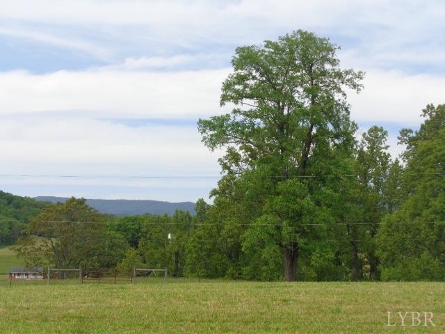 1170 Parrish Rd, Goodview, VA 24095 - view of yard featuring a wooded view