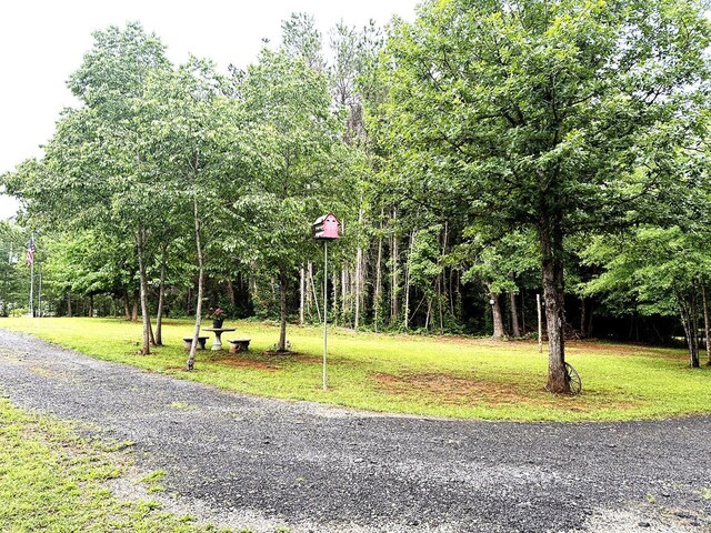824 Double Bridges, Keysville, VA 23947 - photo 44