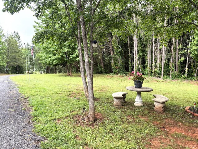 824 Double Bridges, Keysville, VA 23947 - photo 45