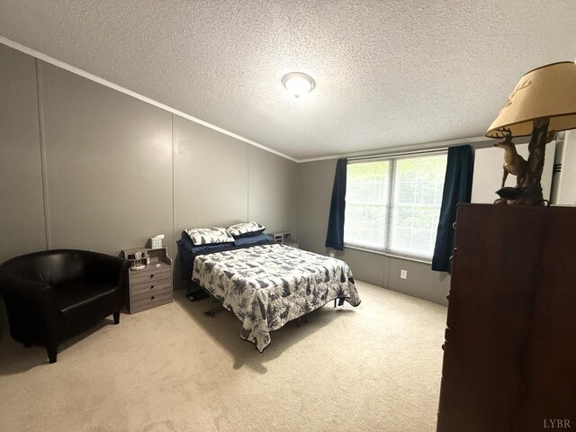 824 Double Bridges, Keysville, VA 23947 - photo 39