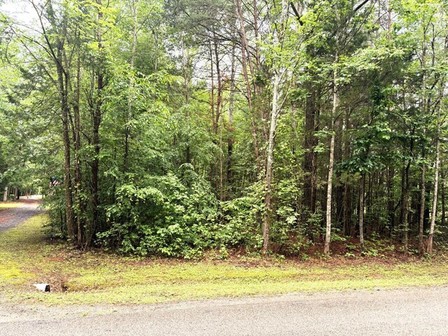 824 Double Bridges, Keysville, VA 23947 - photo 49