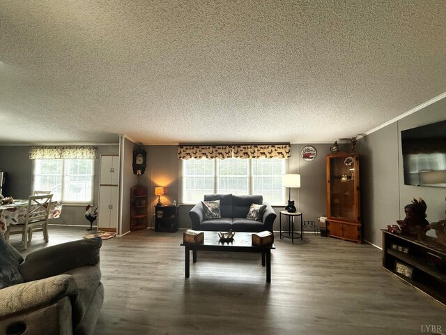824 Double Bridges, Keysville, VA 23947 - photo 42