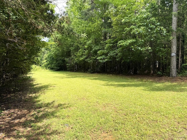 824 Double Bridges, Keysville, VA 23947 - photo 50