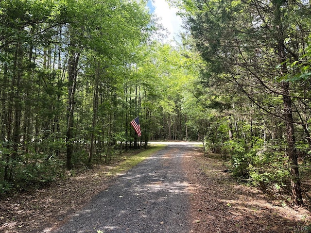 824 Double Bridges, Keysville, VA 23947 - photo 48