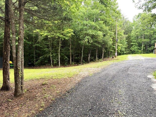 824 Double Bridges, Keysville, VA 23947 - photo 46