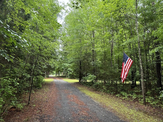 824 Double Bridges, Keysville, VA 23947 - photo 2