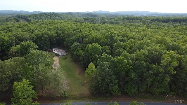 134 Napier Dr, Concord, VA 24538 - aerial view of a forest and mountains