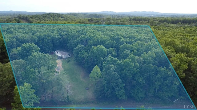 134 Napier Dr, Concord, VA 24538 - photo 27