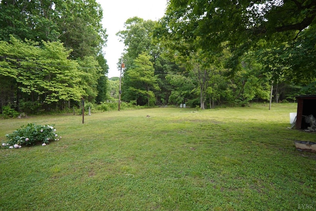 134 Napier Dr, Concord, VA 24538 - view of green lawn