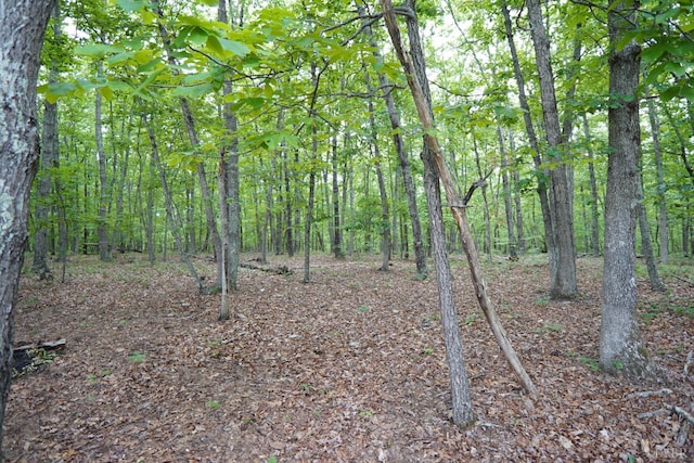 134 Napier Dr, Concord, VA 24538 - view of tree filled area