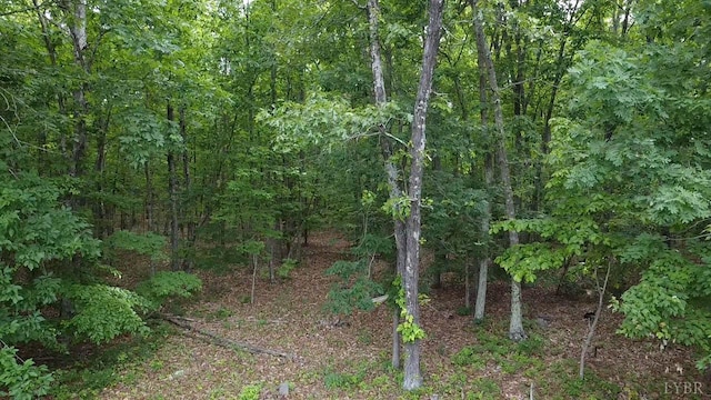 134 Napier Dr, Concord, VA 24538 - view of wooded area