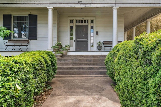 1102 Bedford Ave, Altavista, VA 24517 - photo 3