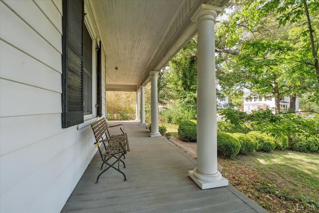 1102 Bedford Ave, Altavista, VA 24517 - photo 10