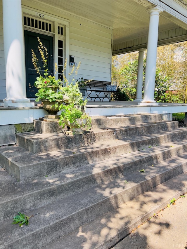 1102 Bedford Ave, Altavista, VA 24517 - photo 4