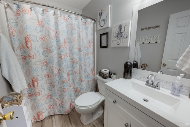 343 Soybean Dr, Appomattox, VA 24522 - bathroom featuring toilet, vanity, wood finished floors, and curtained shower