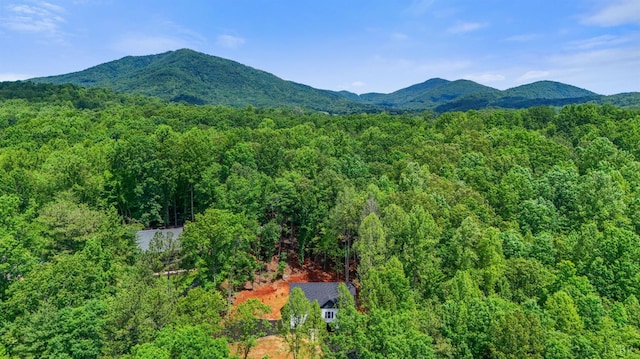 5610 Old Cifax Rd, Goode, VA 24556 - photo 2