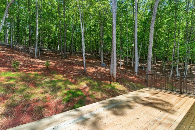 5610 Old Cifax Rd, Goode, VA 24556 - photo 47