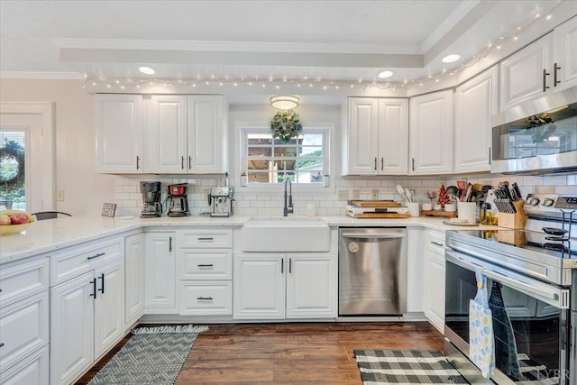 1028 Park Mountain Ter, Huddleston, VA 24104 - kitchen featuring stainless steel appliances, a sink, crown molding, dark wood-style flooring, and backsplash