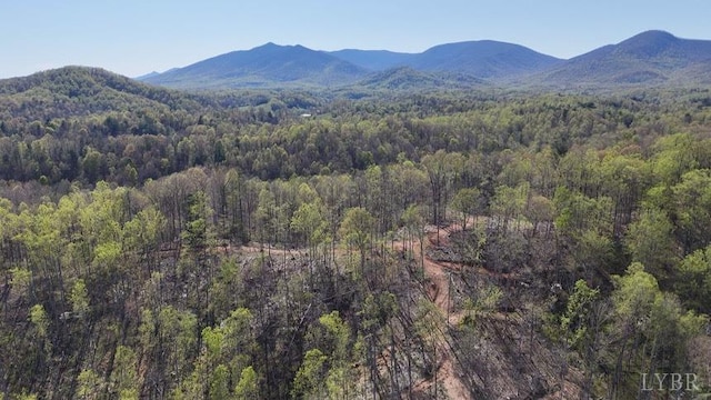 11798 Lee Jackson Hwy, Big Island, VA 24526 - photo 1