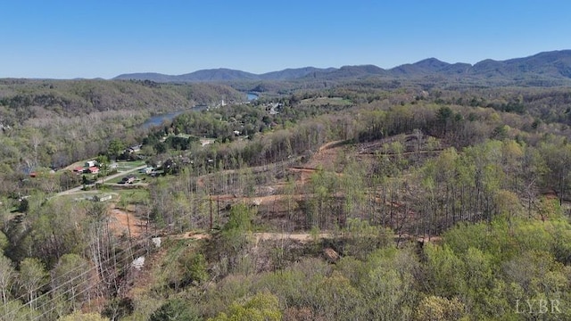 11798 Lee Jackson Hwy, Big Island, VA 24526 - photo 4