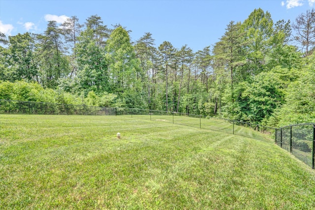 238 Ridgeline Dr, Concord, VA 24538 - view of yard