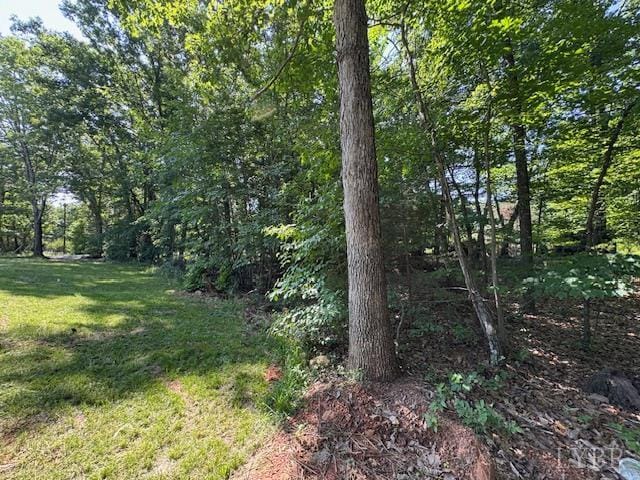 7447 Red House Rd, Appomattox, VA 24522 - view of wooded area