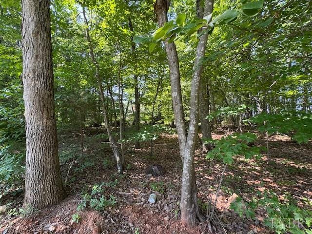 7447 Red House Rd, Appomattox, VA 24522 - photo 8